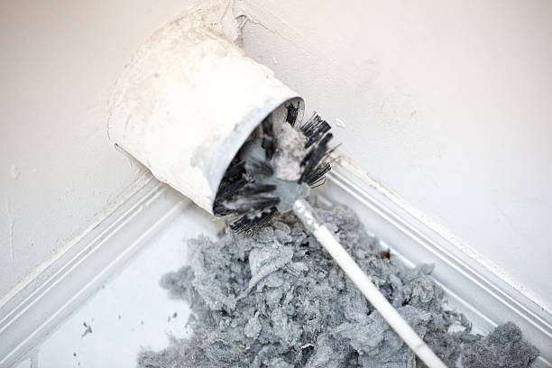 Best Air Duct Mold Removal  in Owensboro, KY